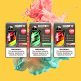 North FT12000 Vape