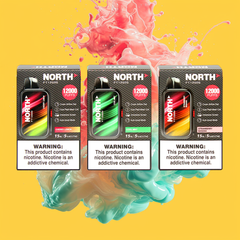 North FT12000 Vape
